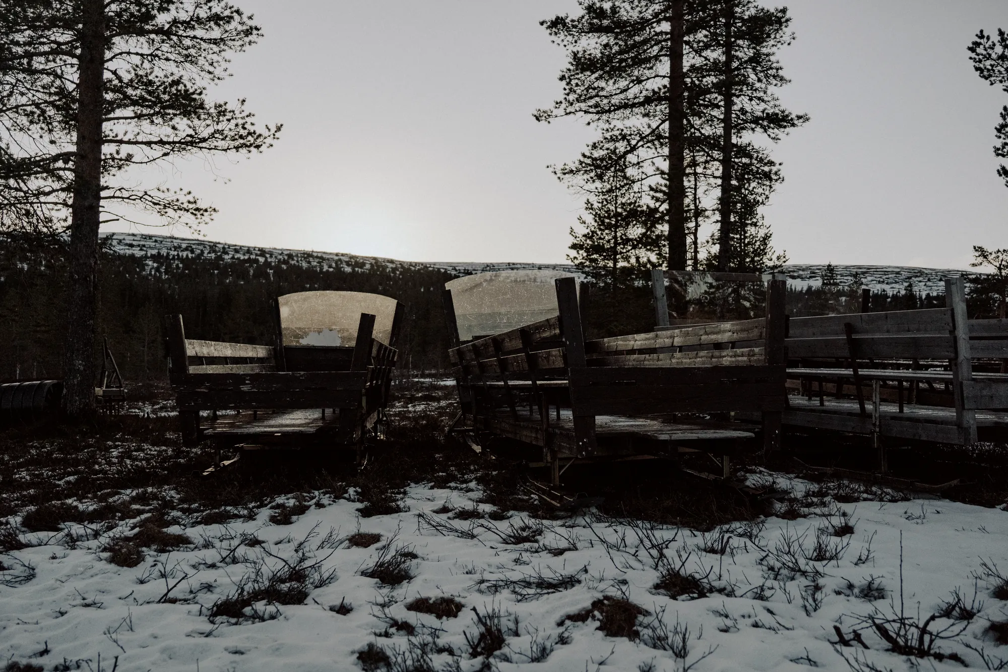 Old wooden sleds in the snow with the sun low behind the pines