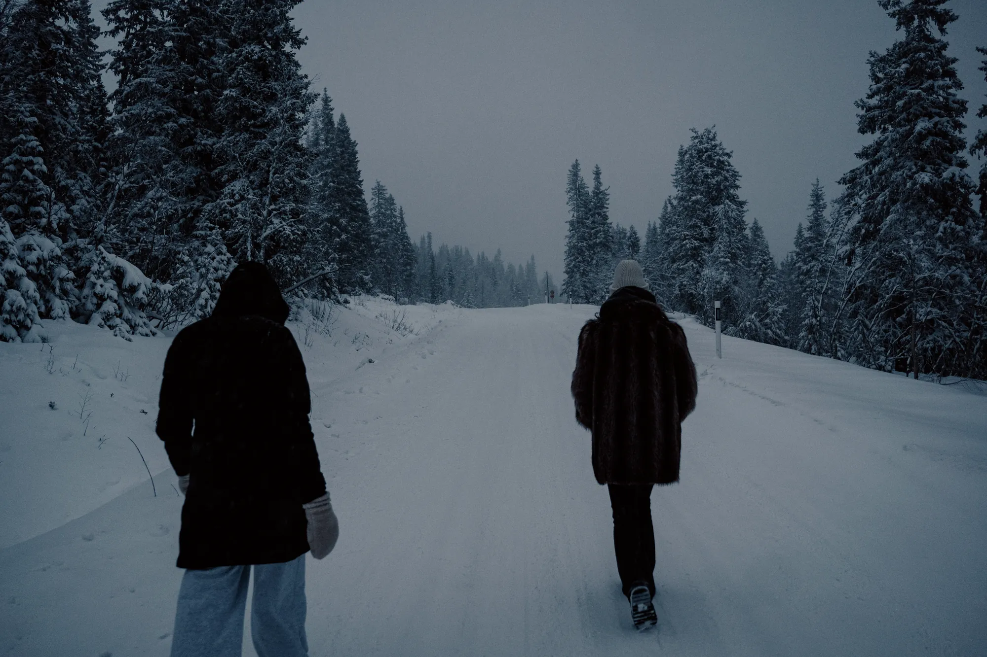 Two people in dark winter coats walking up a snow-covered road between spruce trees