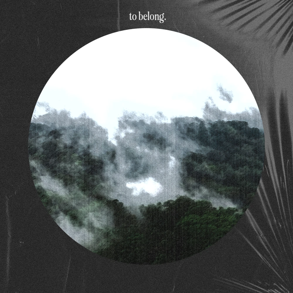 Album cover design titled To Belong
